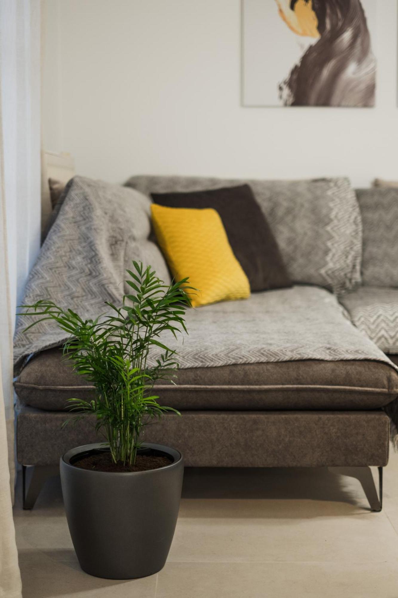 Apartment Singer - Luxury *